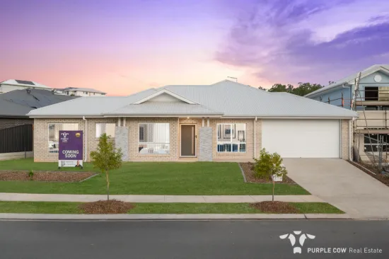 46 Torres Way, Spring Mountain, Qld 4300