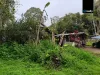 46 Tully Falls Road, Ravenshoe, Qld 4888-Image