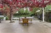 46 Victoria Road North, Malvern, Vic 3144-Image