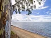 46 Wagtail Drive, Deception Bay QLD 4508-Image