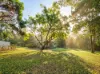 46 Wappa Falls Road, Yandina, Qld 4561