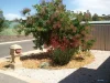 46 William Drive, Davoren Park, SA 5113-Image