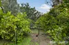 46 Willy Wagtail Close, Lake Clifton, WA 6215-Image