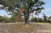 46 Willy Wagtail Close, Lake Clifton, WA 6215-Image