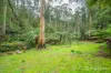 460 Old Warburton Road, Warburton, Vic 3799-Image