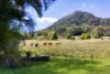 461 Gold Creek Road, Eerwah Vale, Qld 4562-Image