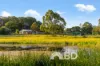 463 Moore Road, Kurwongbah, Qld 4503-Image