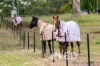 464 Mount Kilcoy Road, Mount Kilcoy, Qld 4515-Image