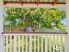 464 Newnham Road, Upper Mount Gravatt, Qld 4122-Image