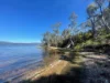 469 Abels Bay Road, Abels Bay, Tas 7112-Image