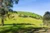 469 Boundary Gully Road, Yandoit Hills, Vic 3461-Image