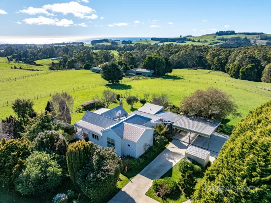 469 Mount Hicks Road, Mount Hicks, Tas 7325