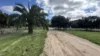 46A Dawkins Road, Two Wells, SA 5501-Image