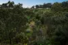 47 Alpine Road, Happy Valley, SA 5159-Image