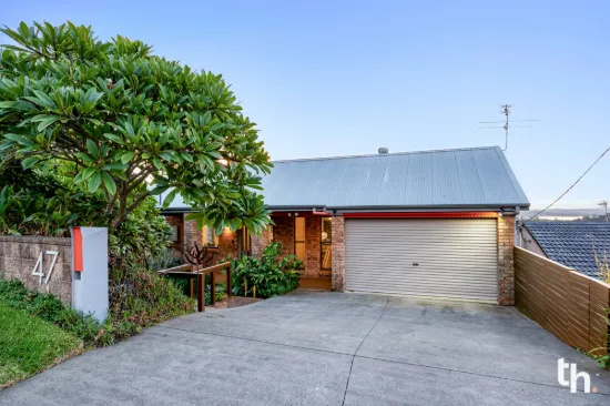 47 Andrew Road, Valentine, NSW 2280