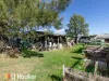 47 Arthur Street, Manilla, NSW 2346-Image