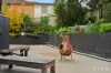 47 Baracchi Crescent, Giralang, ACT 2617-Image