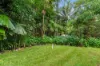 47 Barron Falls Road, Kuranda, Qld 4881-Image