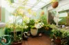 47 Britten-Jones Drive, Holt, ACT 2615-Image