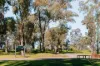47 Britten-Jones Drive, Holt, ACT 2615-Image