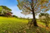 47 Bunya Street, Maleny, Qld 4552-Image