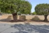 47 Diana Crescent, Lockridge, WA 6054-Image