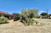 47 Dundath Blantyre Street, Katanning, WA 6317-Image
