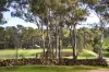47 Grannie Woods Lane, Yapeen, Vic 3451-Image