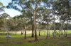47 Grannie Woods Lane, Yapeen, Vic 3451-Image