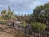 47 Greenup Street, Stanthorpe, Qld 4380-Image