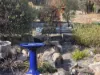 47 Greenup Street, Stanthorpe, Qld 4380-Image