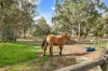 47 Hardwick Street, Cookernup, WA 6219-Image