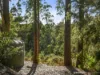 47 Jay Dee Road, Glengarry, Tas 7275-Image