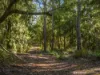 47 Jay Dee Road, Glengarry, Tas 7275-Image