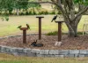47 Kaylene Court, Royston, Qld 4515-Image