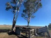 47 Kemp Road, Junabee QLD 4370-Image