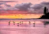47 Kingfisher Crescent, Burleigh Waters, Qld 4220-Image
