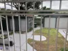 47 Kingston Street, Oak Flats NSW 2529-Image