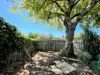 47 Luscombe Street, Brunswick, Vic 3056-Image