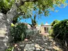 47 Luscombe Street, Brunswick, Vic 3056-Image
