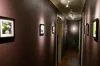 47 Main Street, Sheffield, Tas 7306-Image