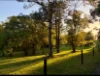 47 Omega Lane, Eumundi, Qld 4562-Image