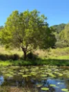 47 Omega Lane, Eumundi, Qld 4562-Image