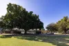 47 Princess Avenue, Rosebery, NSW 2018-Image