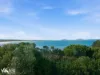 47 Shaw Street, Swansea, Tas 7190-Image