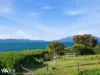 47 Shaw Street, Swansea, Tas 7190-Image