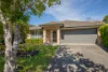 47 Tuckeroo Circuit, Adamstown NSW 2289-Image
