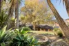 47 Wedmore Road, Emu Heights, NSW 2750-Image
