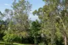 47  Westwood Drive, Samford Valley, Qld 4520-Image