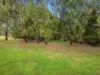 47 Wylie Street, Taggerty, Vic 3714-Image